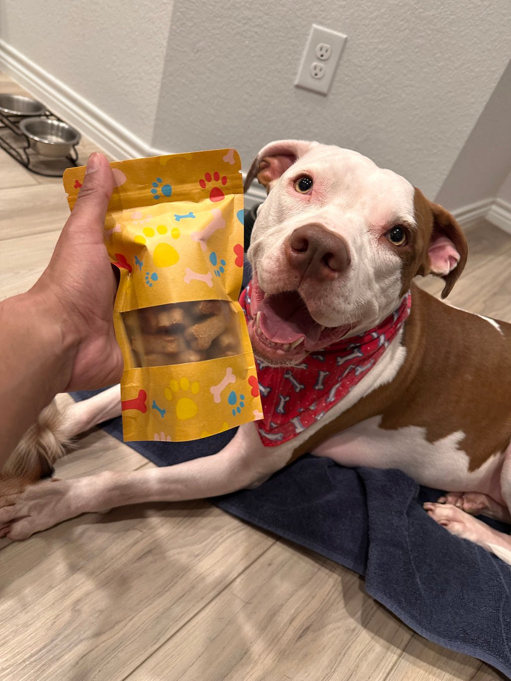 Smile Snacks •8 oz Peanut Butter Dog Treats