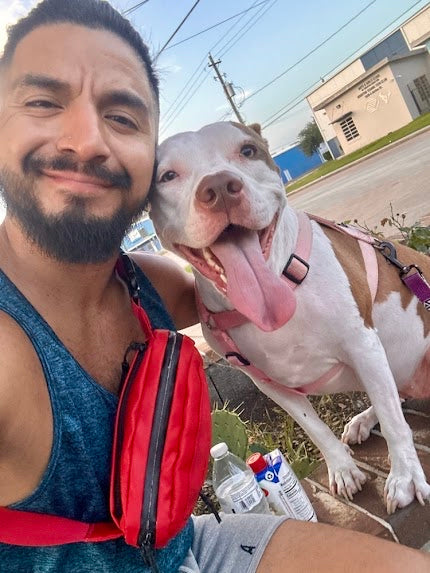 Dog Walking