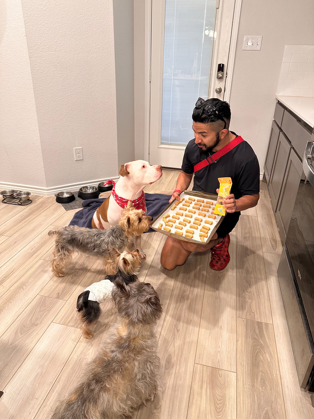 Smile Snacks •8 oz Peanut Butter Dog Treats